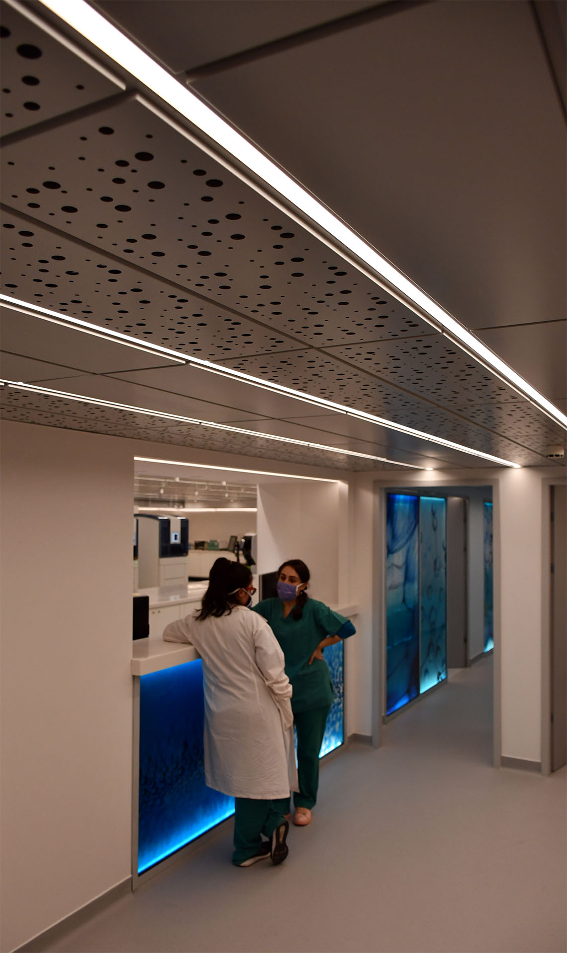 Microbiology Labs